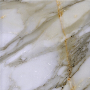 Calacatta Gold Marble